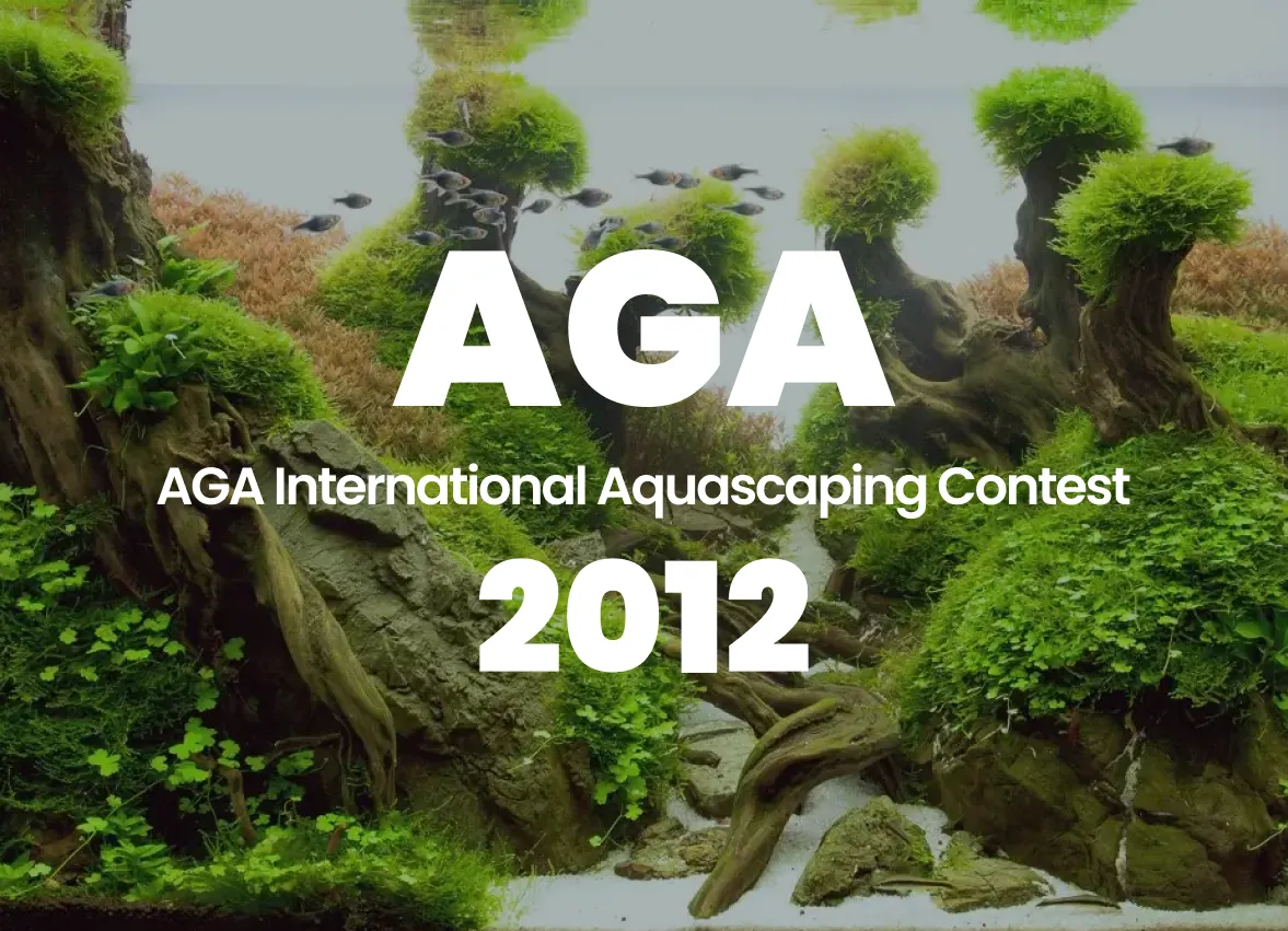 AGA 2012 World Ranking Announcement