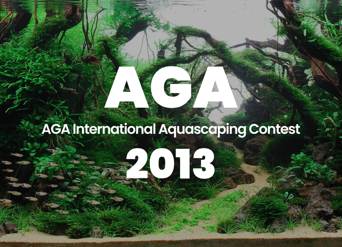 AGA 2013 World Ranking Announcement