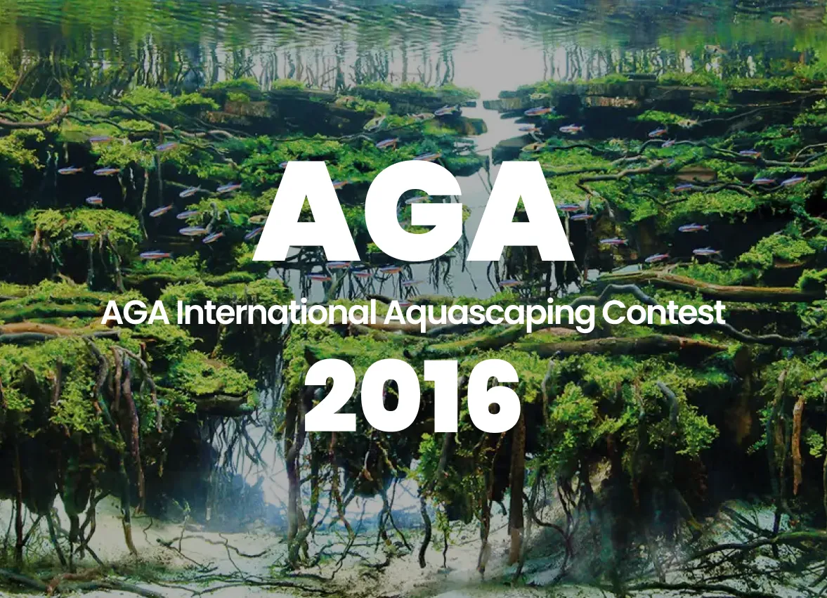 AGA 2016 World Ranking Announcement