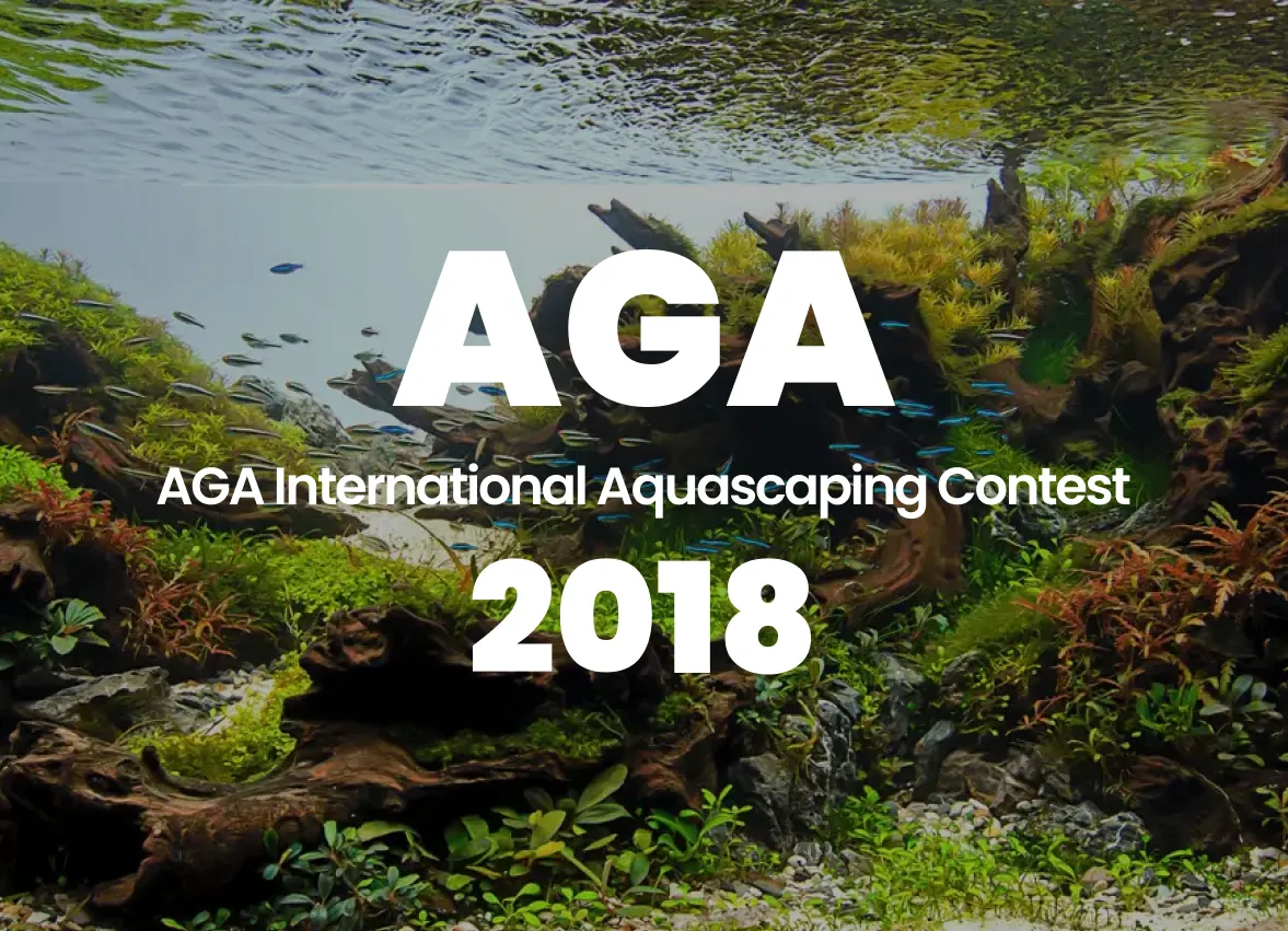 AGA 2018 World Ranking Announcement