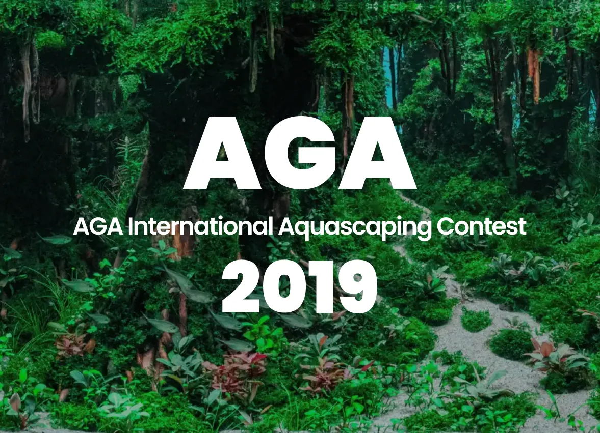 AGA 2019 World Ranking Announcement 