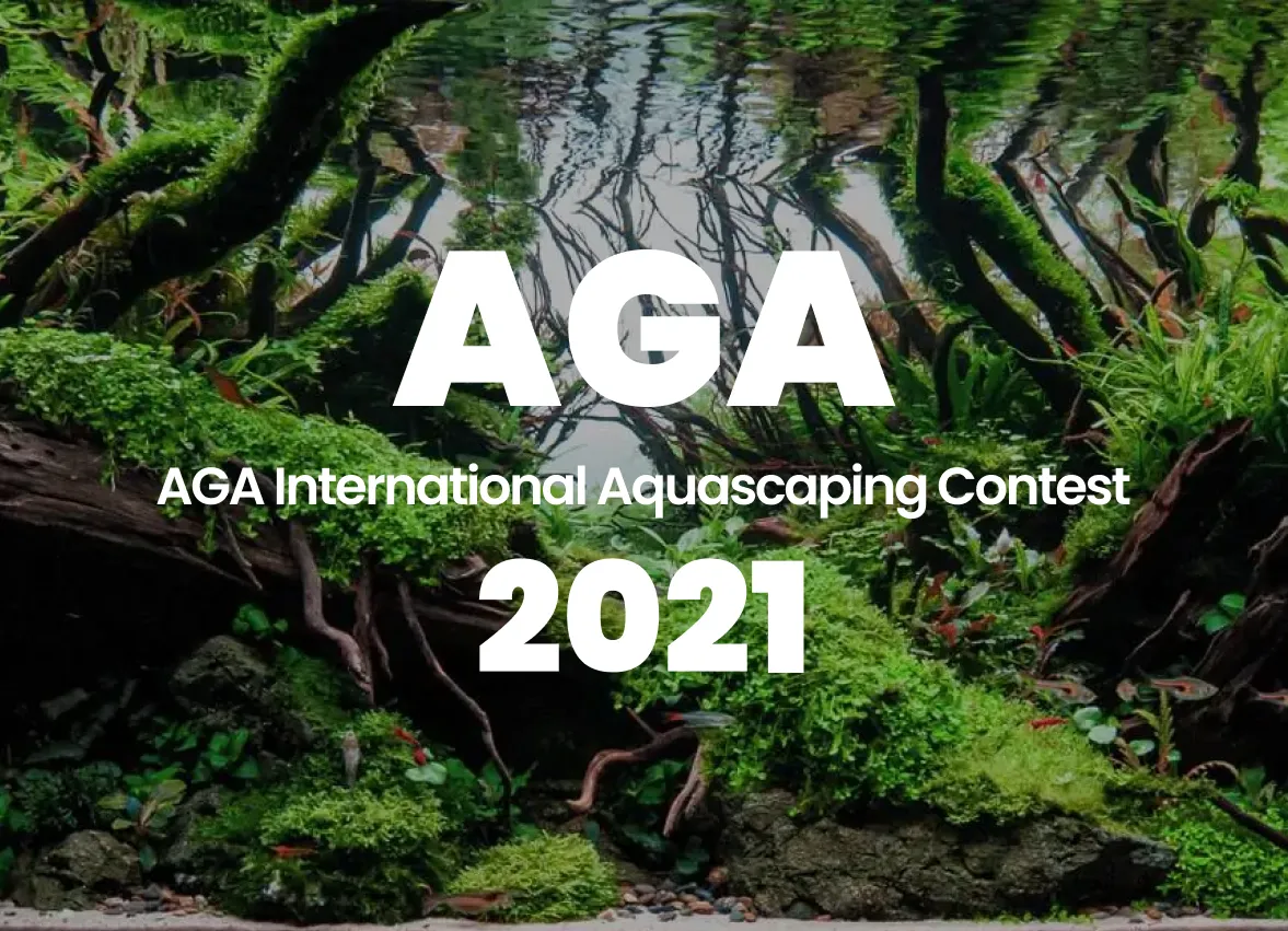 AGA 2021 World Ranking Announcement