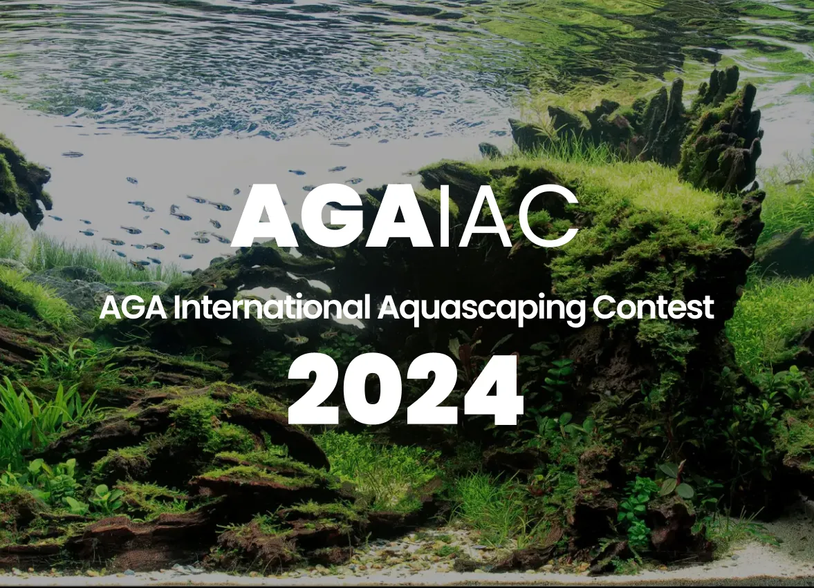 AGA International Aquascaping Contest 2024: A Deeper Dive