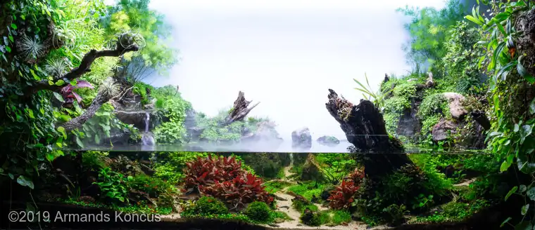 AGA - Aquatic Gardeners Asociation International Aquascaping Contest 