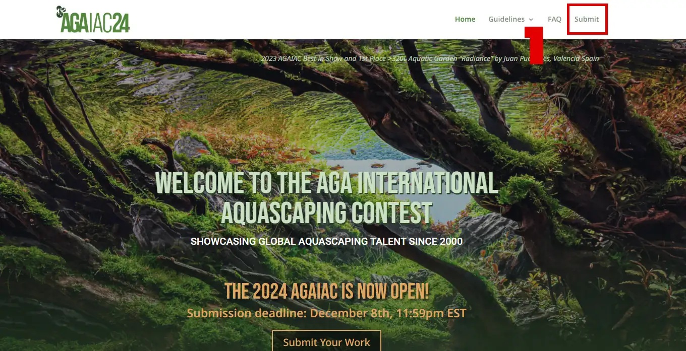 How to submit AGAIAC