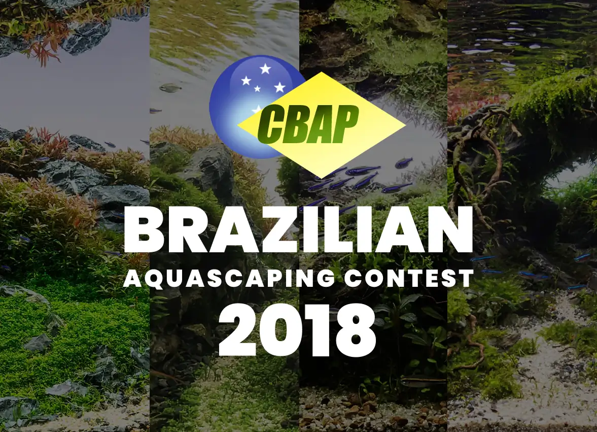 Brazil Aquascaping Contest 2018 Result - CBAP 2018