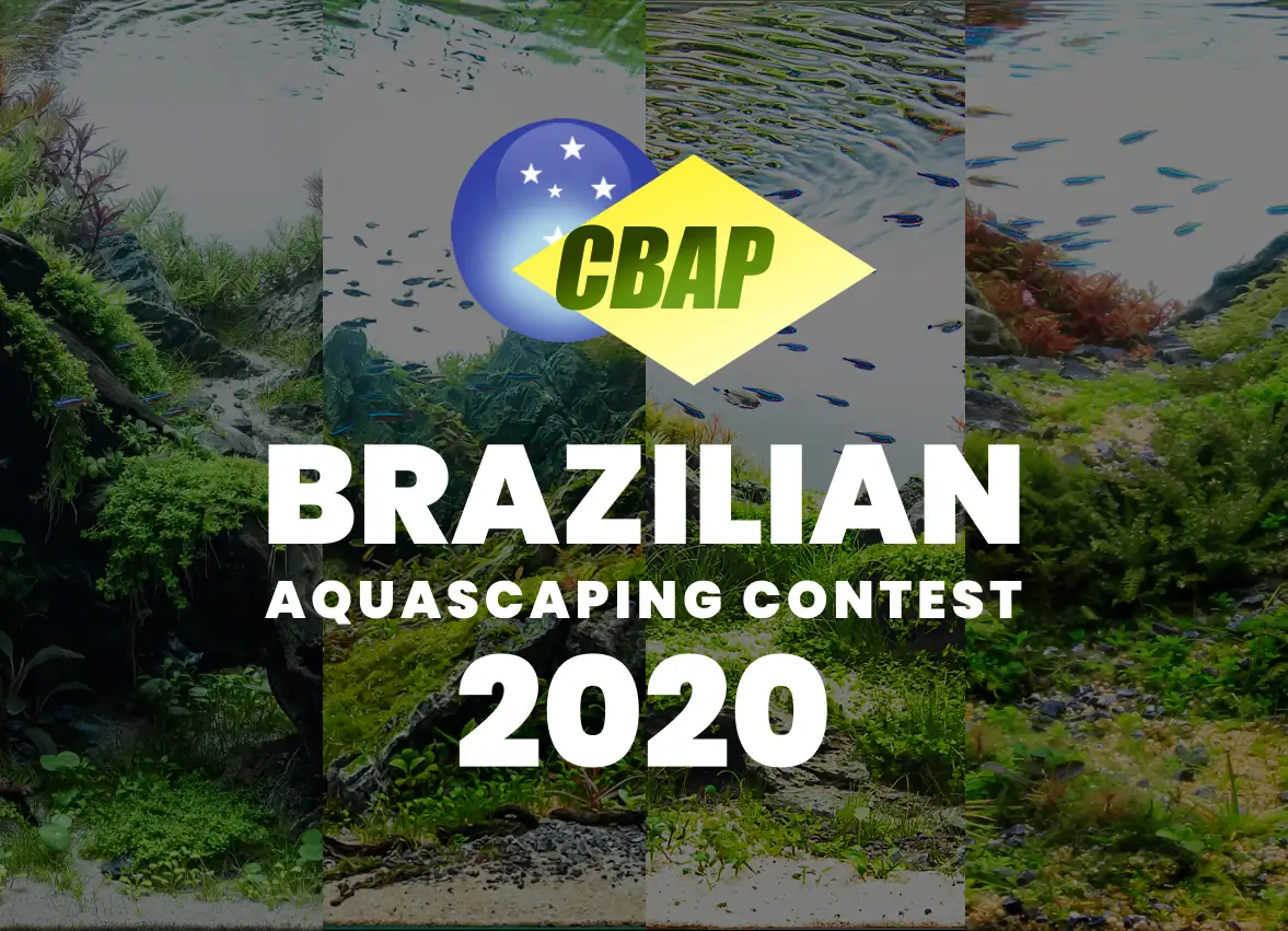 Brazil Aquascaping Contest 2020 Result - CBAP 2020