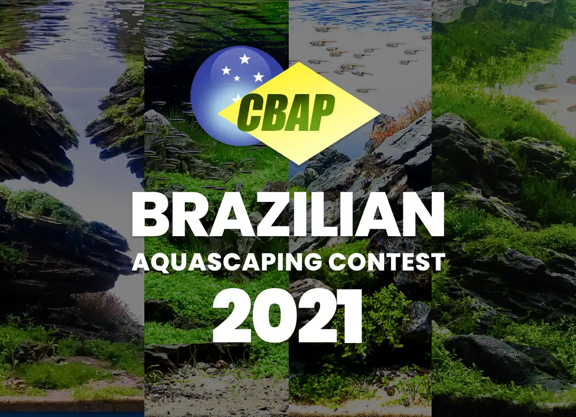 Brazil Aquascaping Contest 2021 Result - CBAP 2021