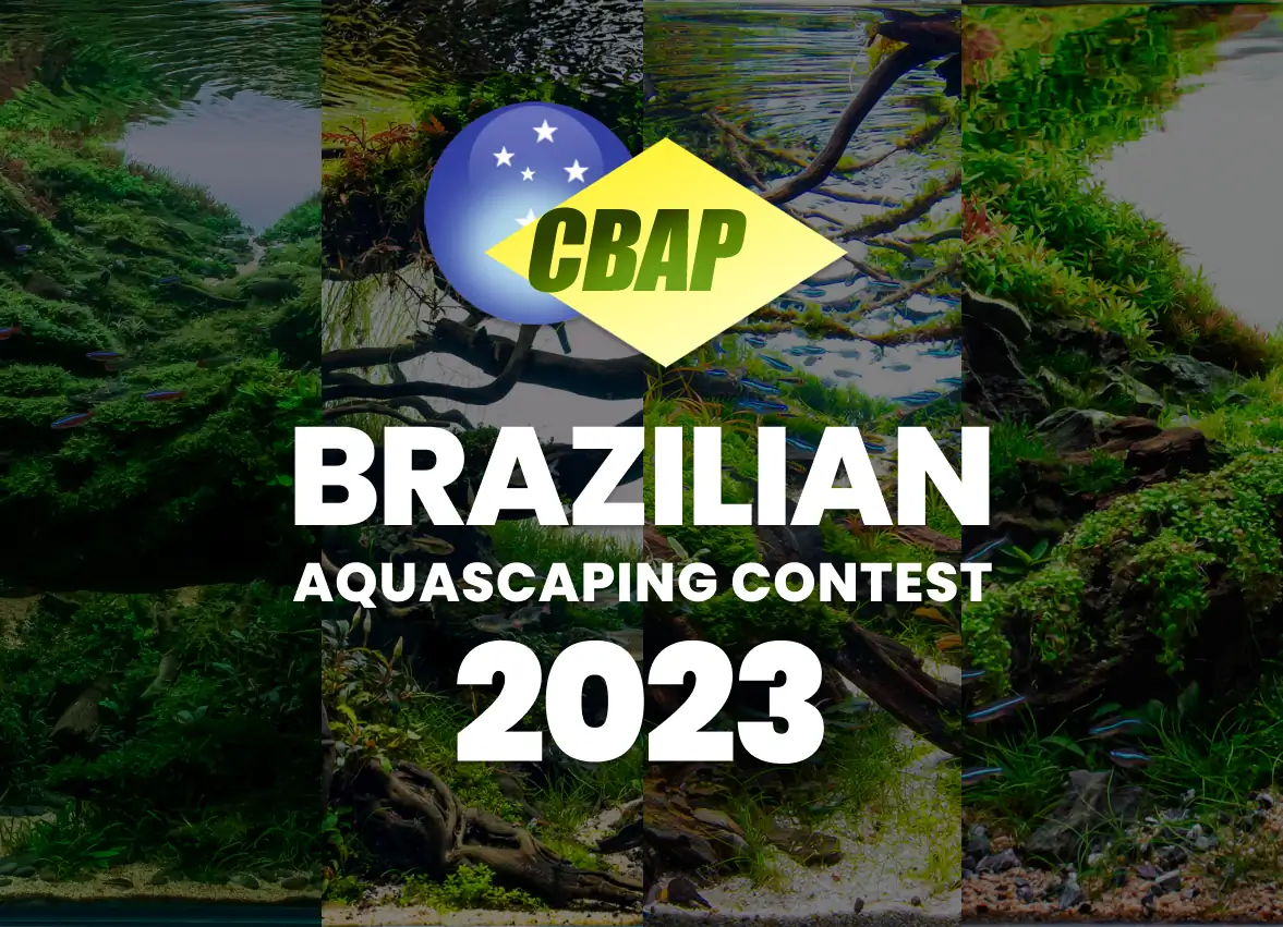 Brazil Aquascaping Contest 2023 Result - CBAP 2023