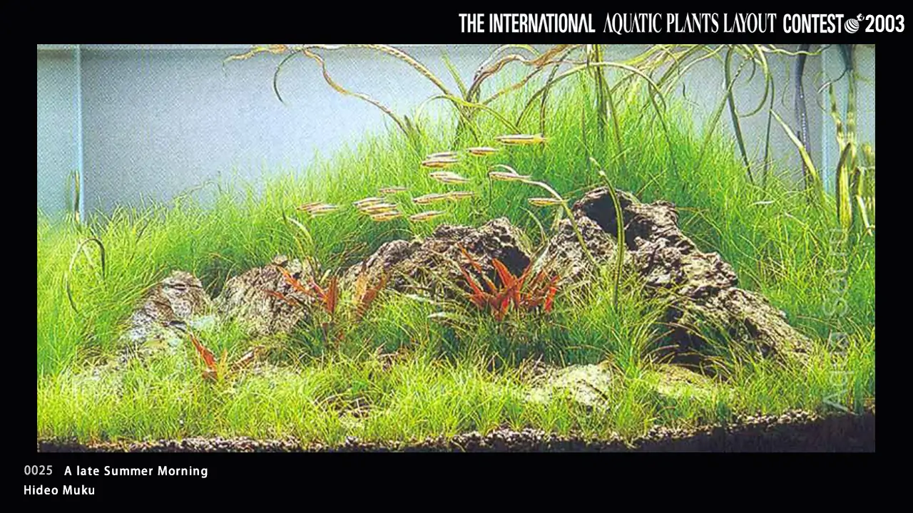 TOP 27 IAPLC 2003 - Look back history