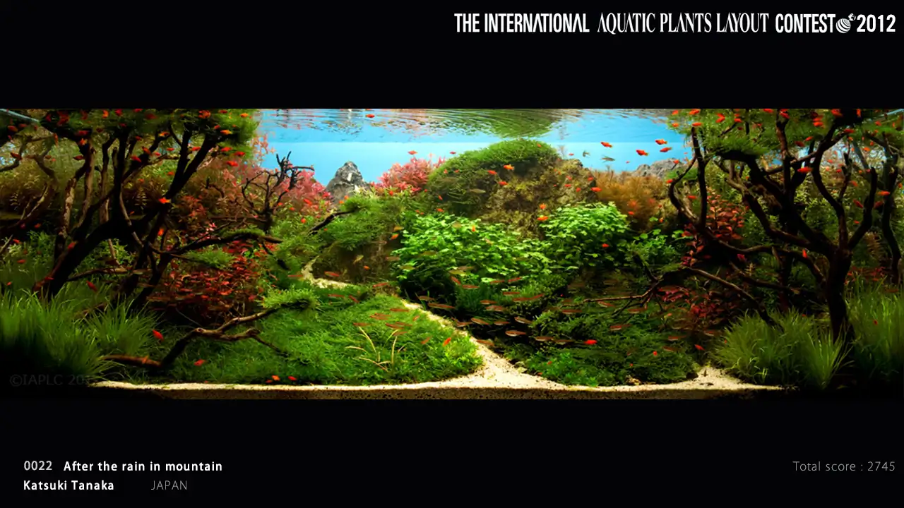 After the rain in mountain