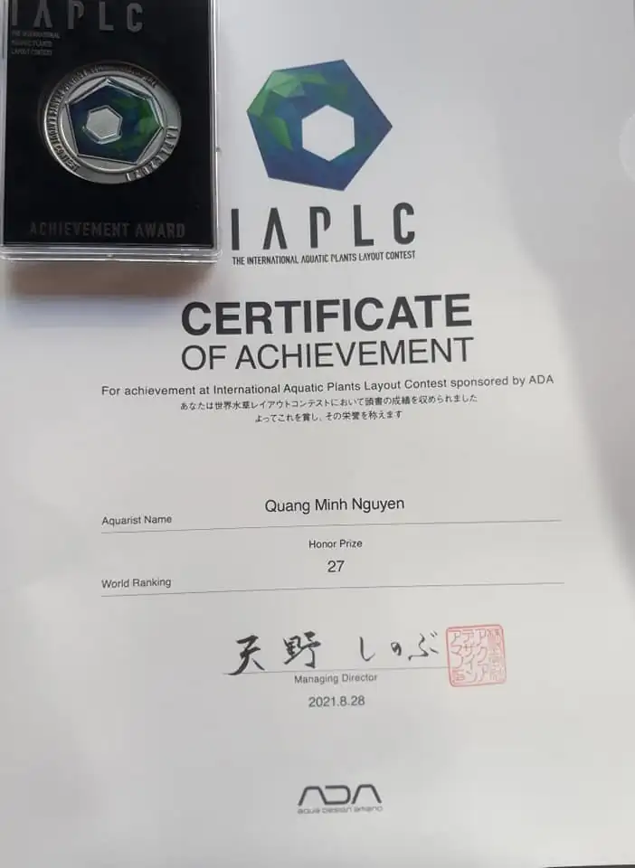 Down stream rocks - Honour Prize IAPLC 2021 - Nguyen Quang Minh / VietNam