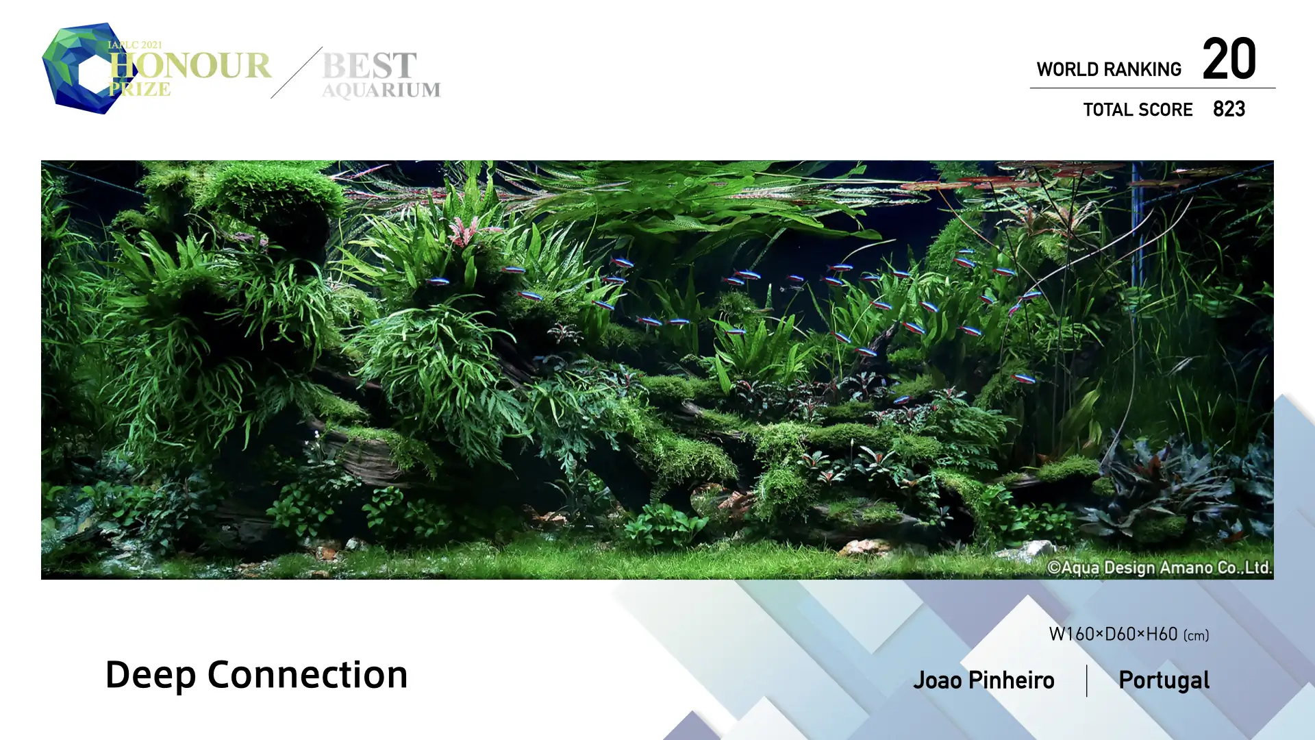 Best Aquarium Selection by Each Judge - Deep Connection - Joao Pinheiro / Portugal - IAPLC 2022