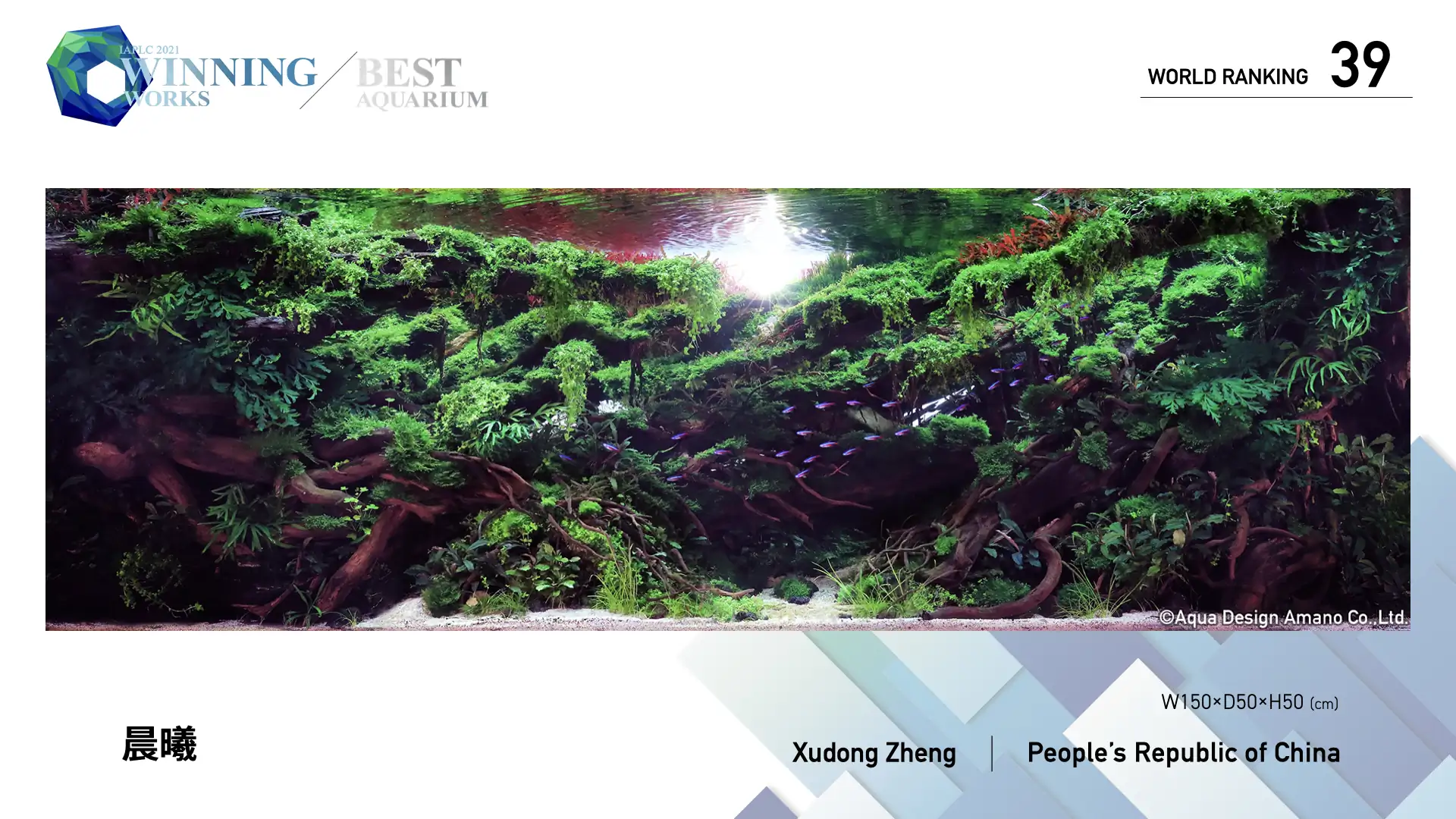 Best Aquarium Selection by Each Judge - Dawnlight - Xudong Zheng / China - IAPLC 2022