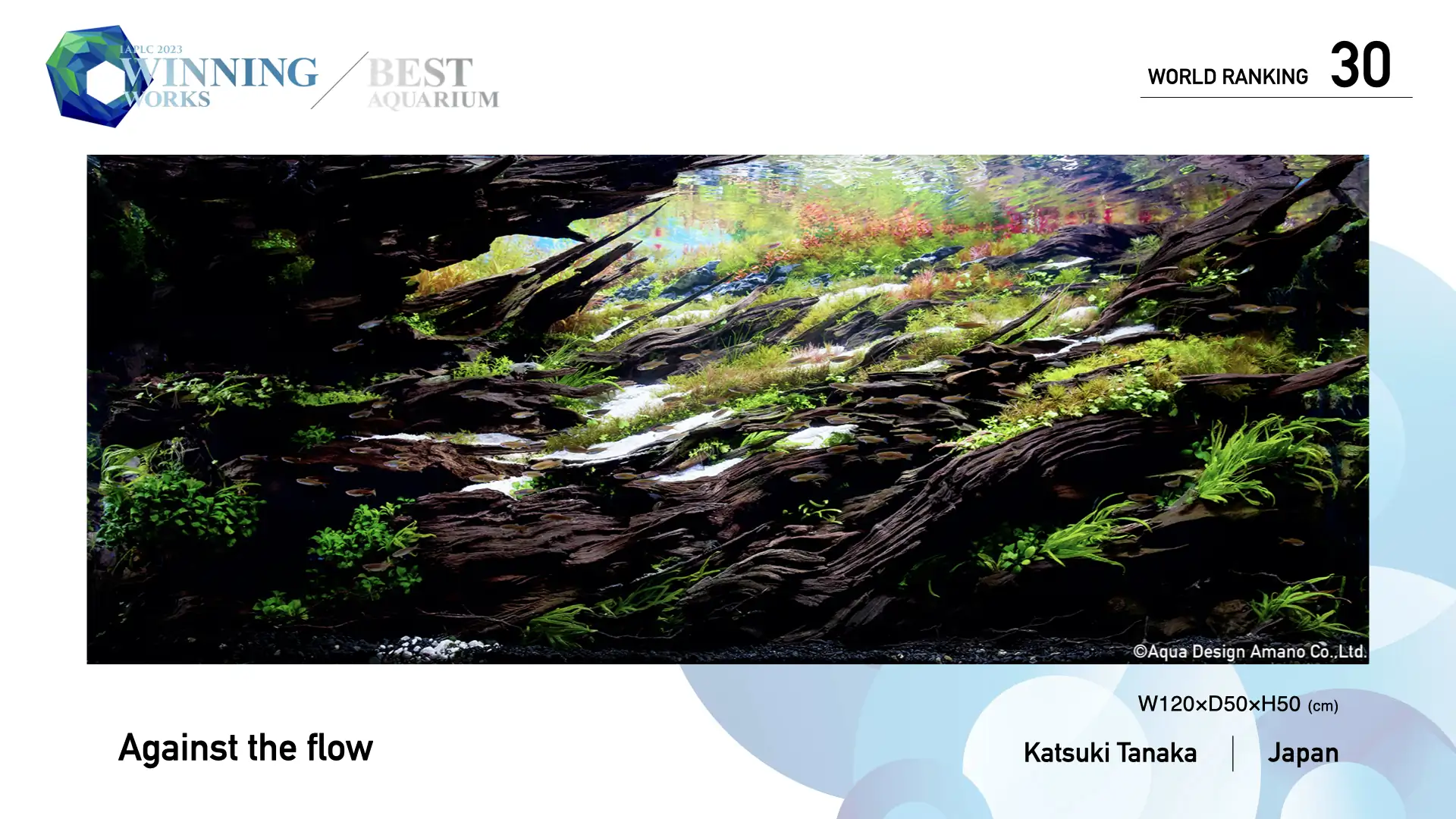 Best Aquarium Selection by Each Judge - Against the flow - Katsuki Tanaka / Japan - IAPLC 2023