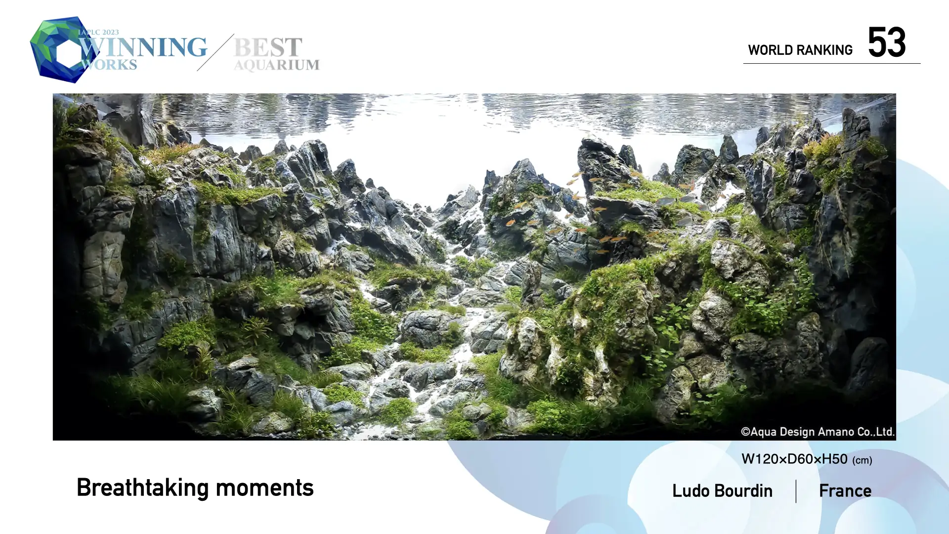 Best Aquarium Selection by Each Judge - Breathtaking moments - Ludo Bourdin / France - IAPLC 2023