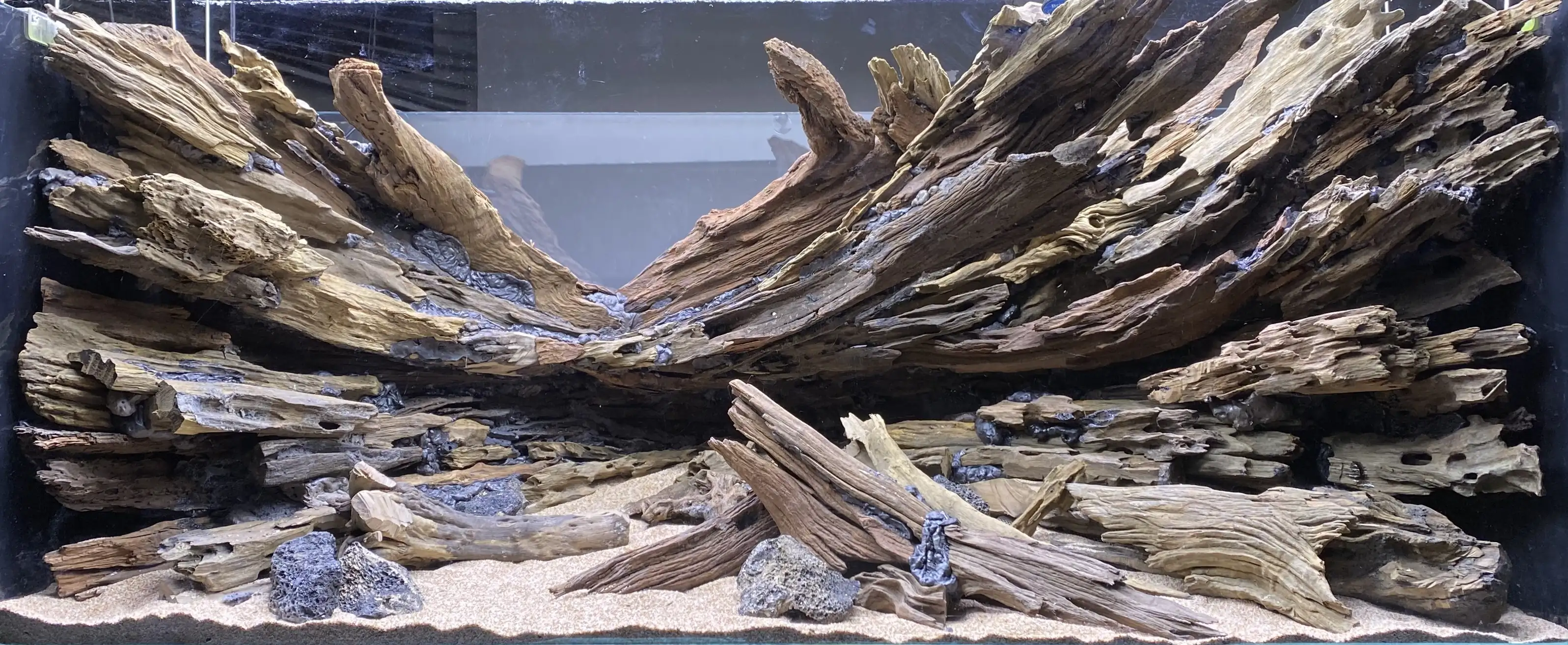 Aquascaping steps IAPLC 2023 - Like the sun at hight noon - Liang Jin / China