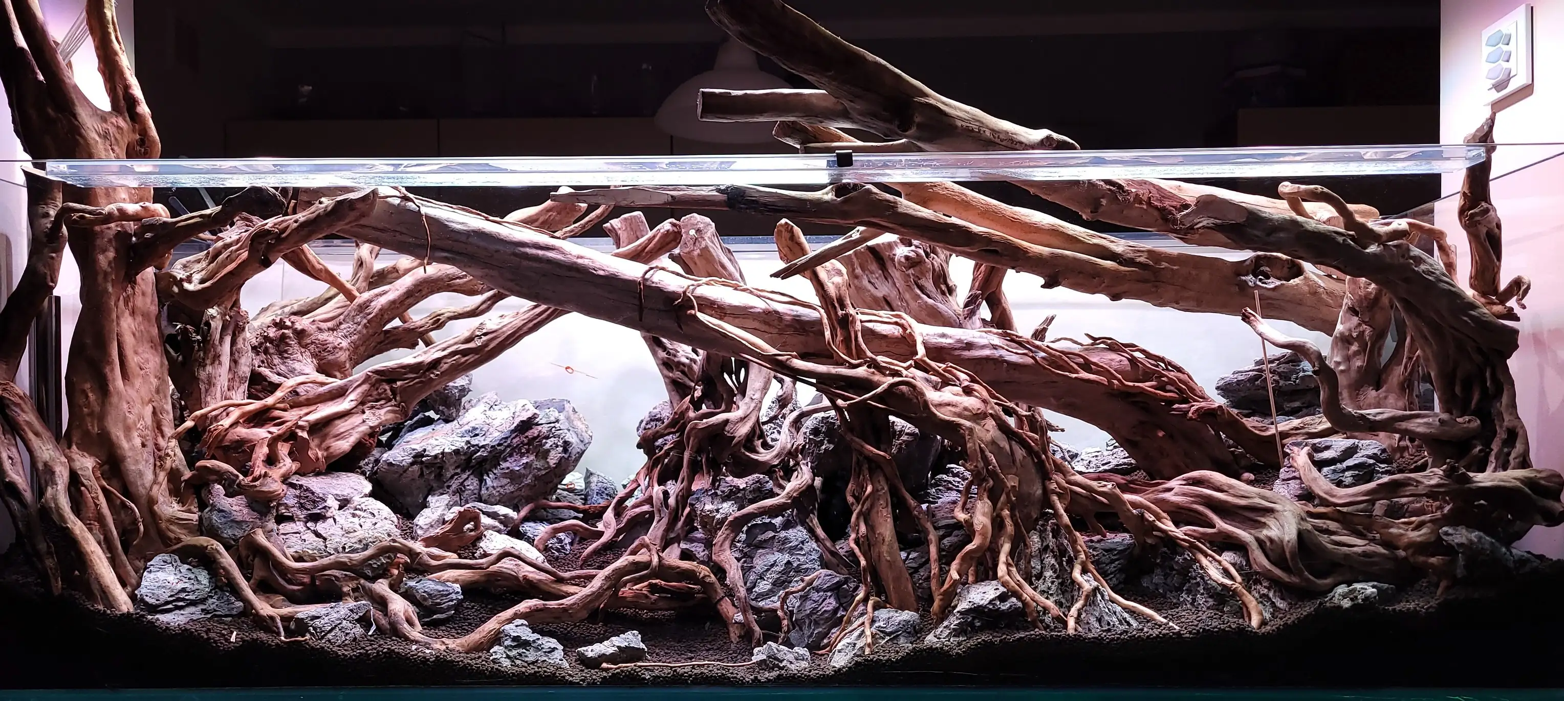 Aquascaping steps IAPLC 2023 - Rank 160 - Neverland - Michal Jaskowiak / Poland