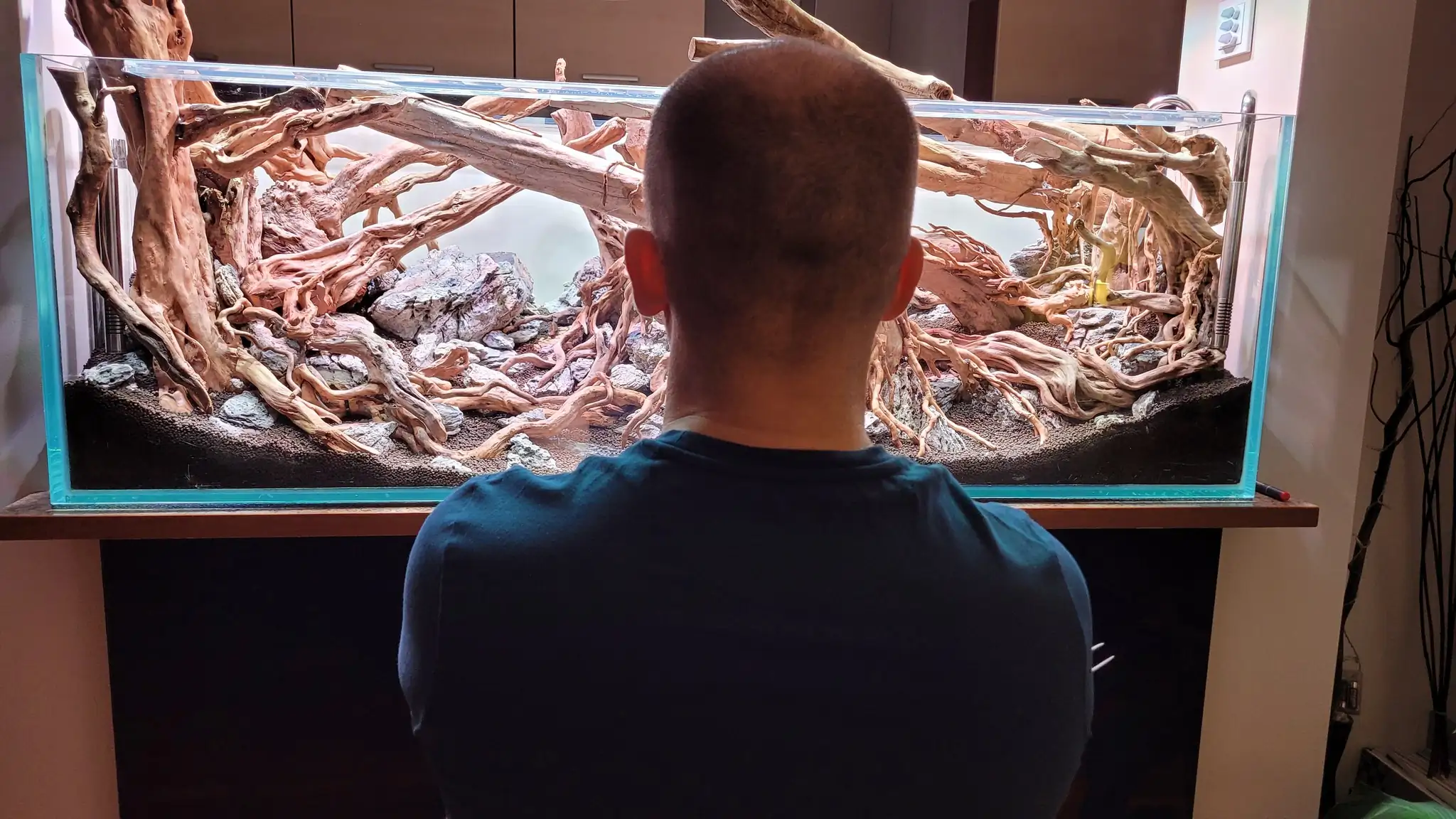 Aquascaping steps IAPLC 2023 - Rank 160 - Neverland - Michal Jaskowiak / Poland