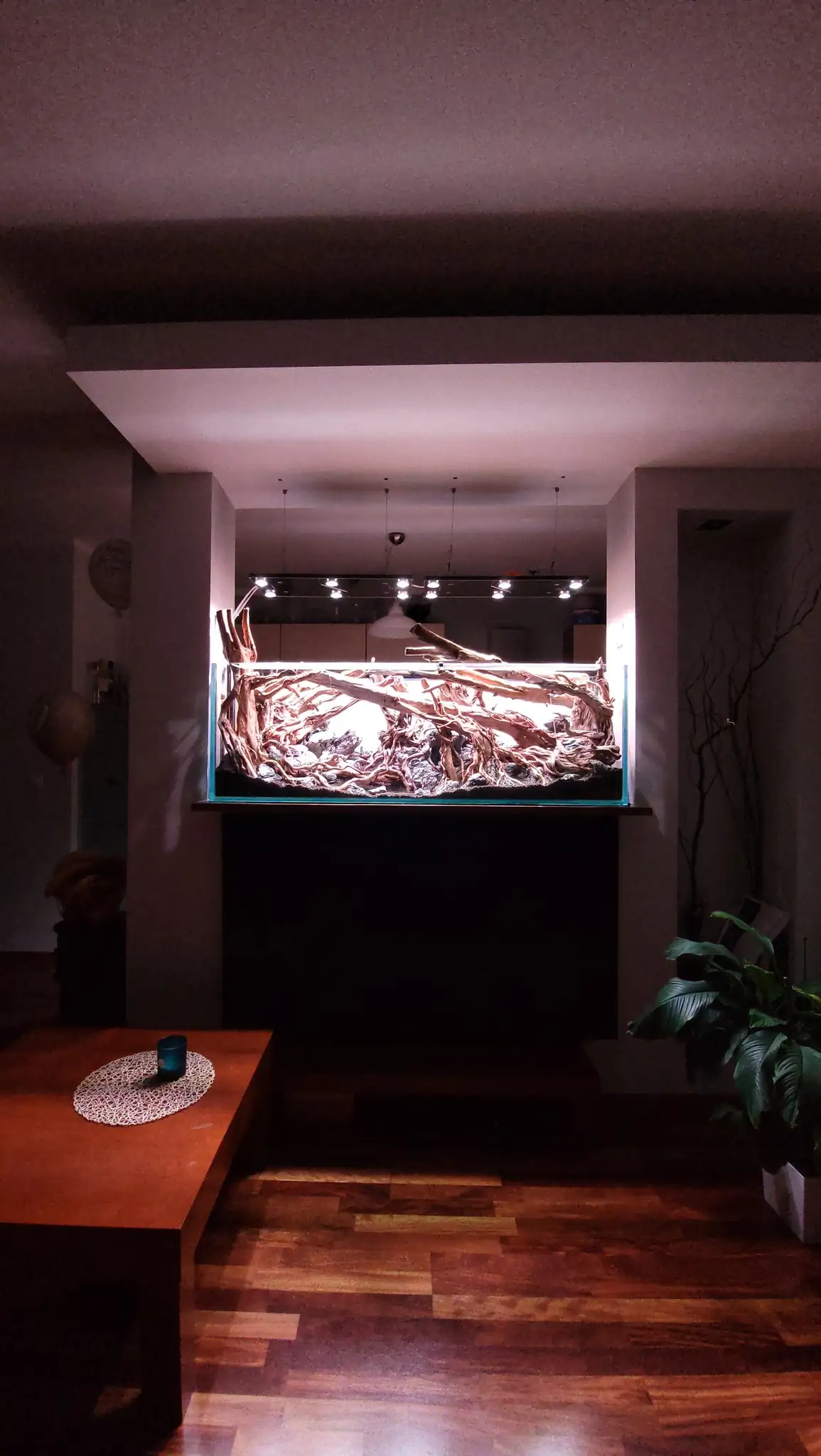 Aquascaping steps IAPLC 2023 - Rank 160 - Neverland - Michal Jaskowiak / Poland