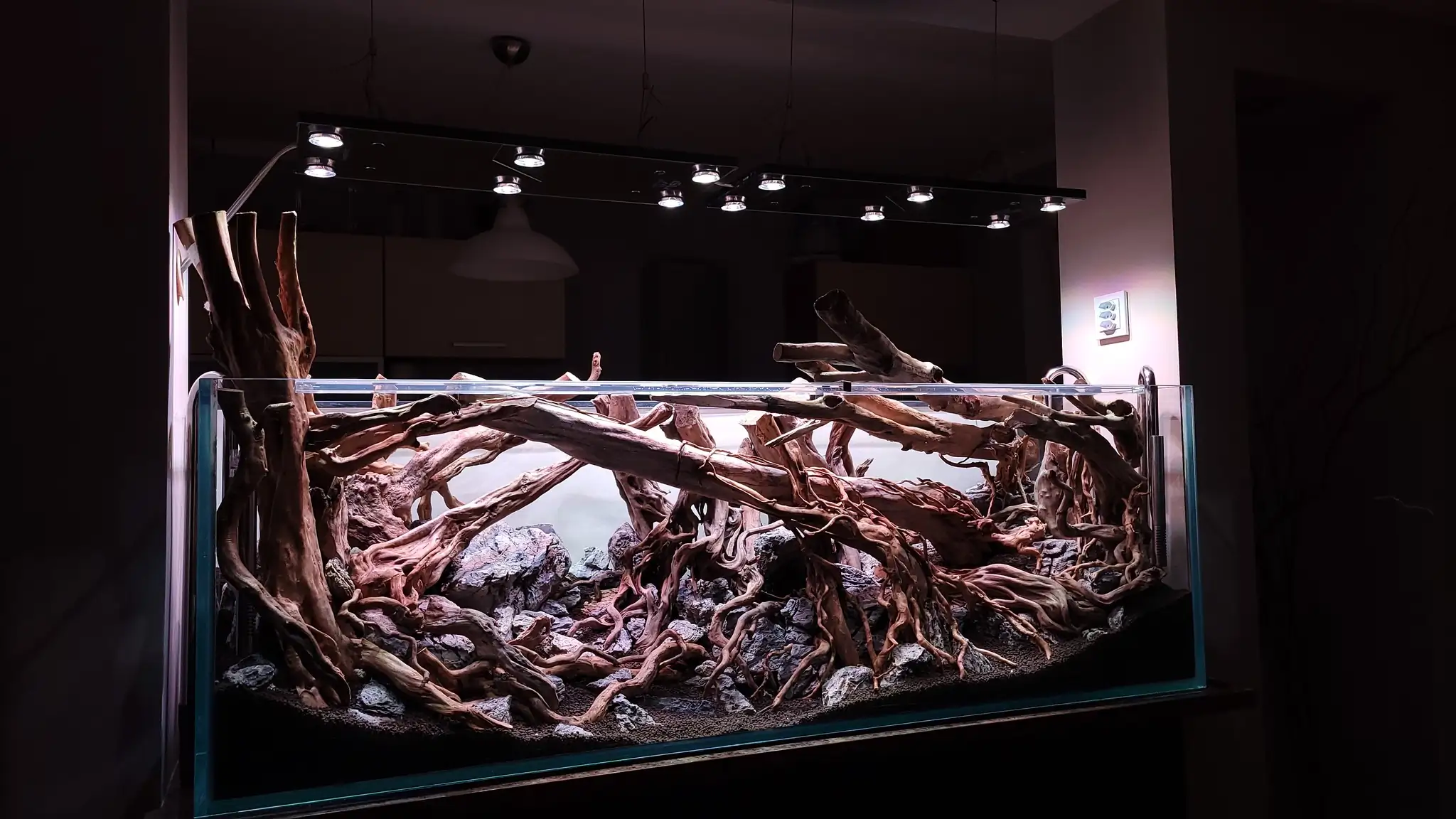 Aquascaping steps IAPLC 2023 - Rank 160 - Neverland - Michal Jaskowiak / Poland