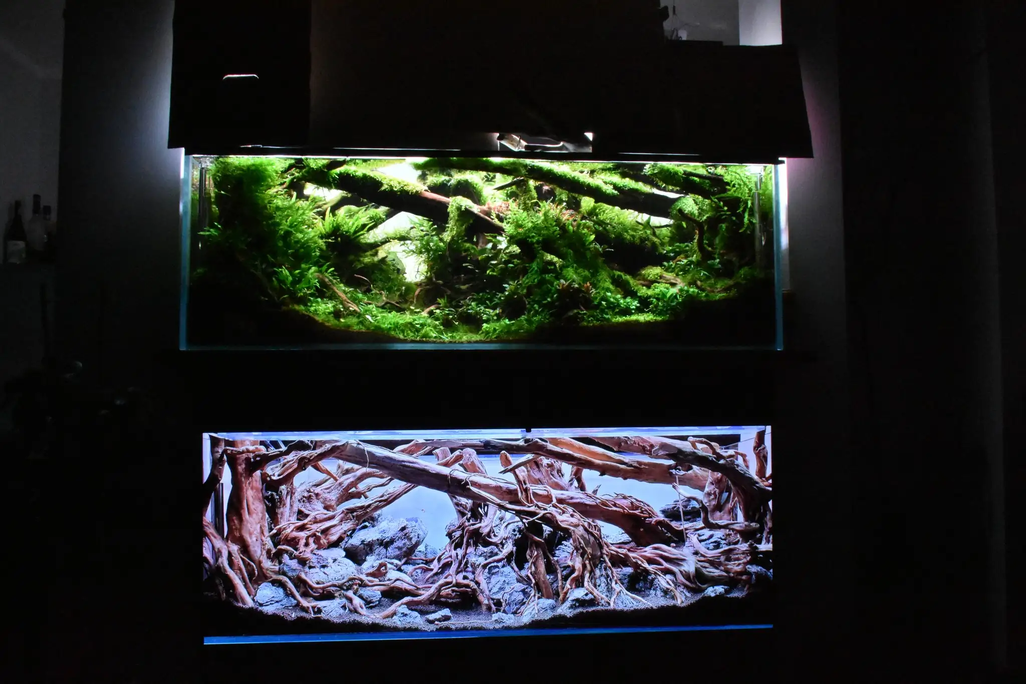 Aquascaping steps IAPLC 2023 - Rank 160 - Neverland - Michal Jaskowiak / Poland