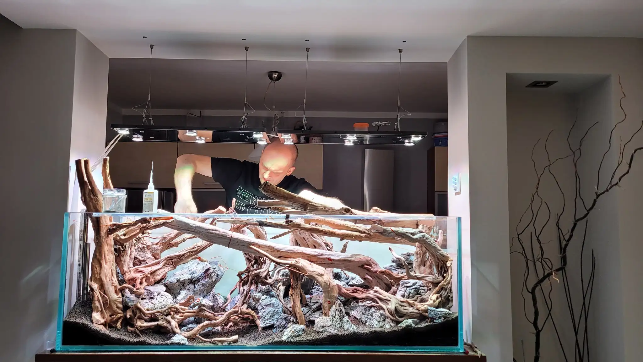 Aquascaping steps IAPLC 2023 - Rank 160 - Neverland - Michal Jaskowiak / Poland