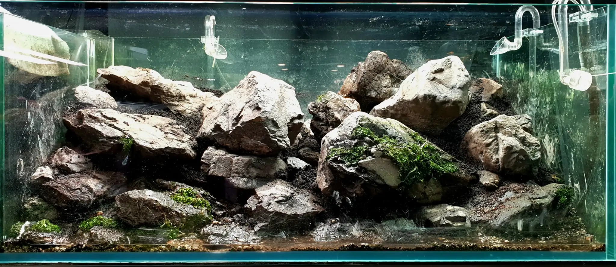 Aquascaping steps IAPLC 2023 - Rank 9 - Rocky Forest - Insik Chung / Korea