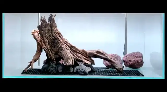 Aquascaping steps IAPLC 2023 - GrandPrize - Source - Zhemin Fan / China