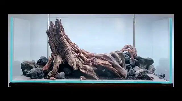 Aquascaping steps IAPLC 2023 - GrandPrize - Source - Zhemin Fan / China