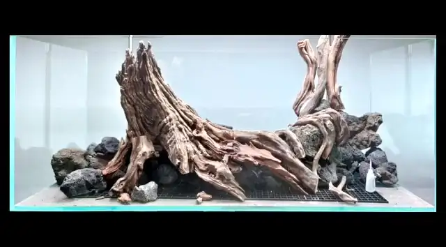 Aquascaping steps IAPLC 2023 - GrandPrize - Source - Zhemin Fan / China