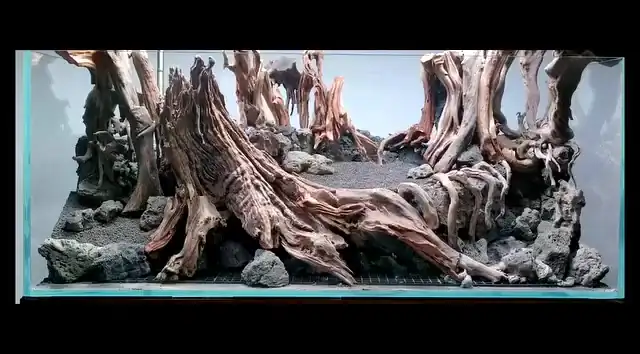 Aquascaping steps IAPLC 2023 - GrandPrize - Source - Zhemin Fan / China