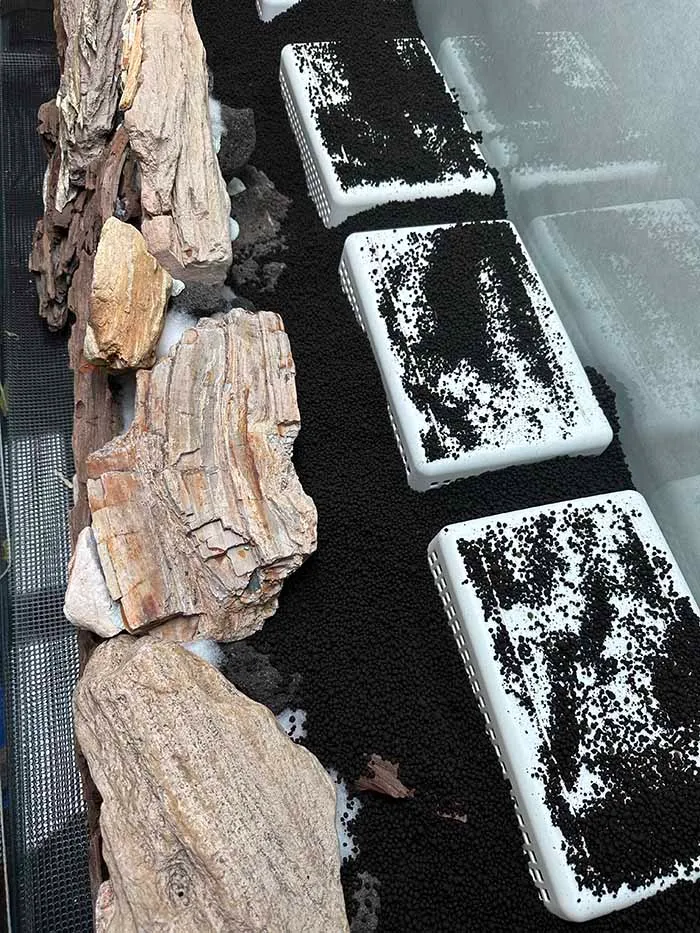 Aquascaping steps Color layers of the earth IAPLC 2024 - Kazuma Takeuchi / Japan