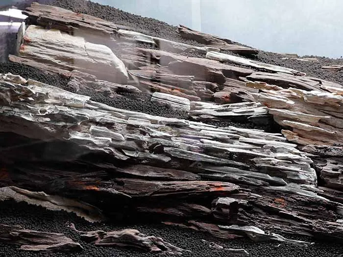 Aquascaping steps Color layers of the earth IAPLC 2024 - Kazuma Takeuchi / Japan