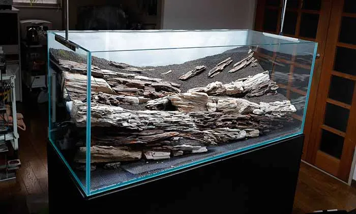 Aquascaping steps Color layers of the earth IAPLC 2024 - Kazuma Takeuchi / Japan