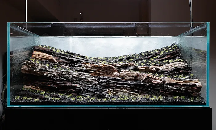 Aquascaping steps Color layers of the earth IAPLC 2024 - Kazuma Takeuchi / Japan