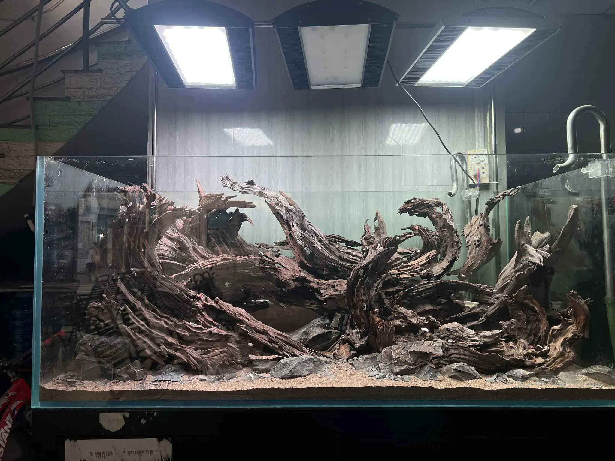 Aquascaping steps - Forest Spirit - IAPLC 2025 Fine Works - Vo Truong Nghia / Vietnam