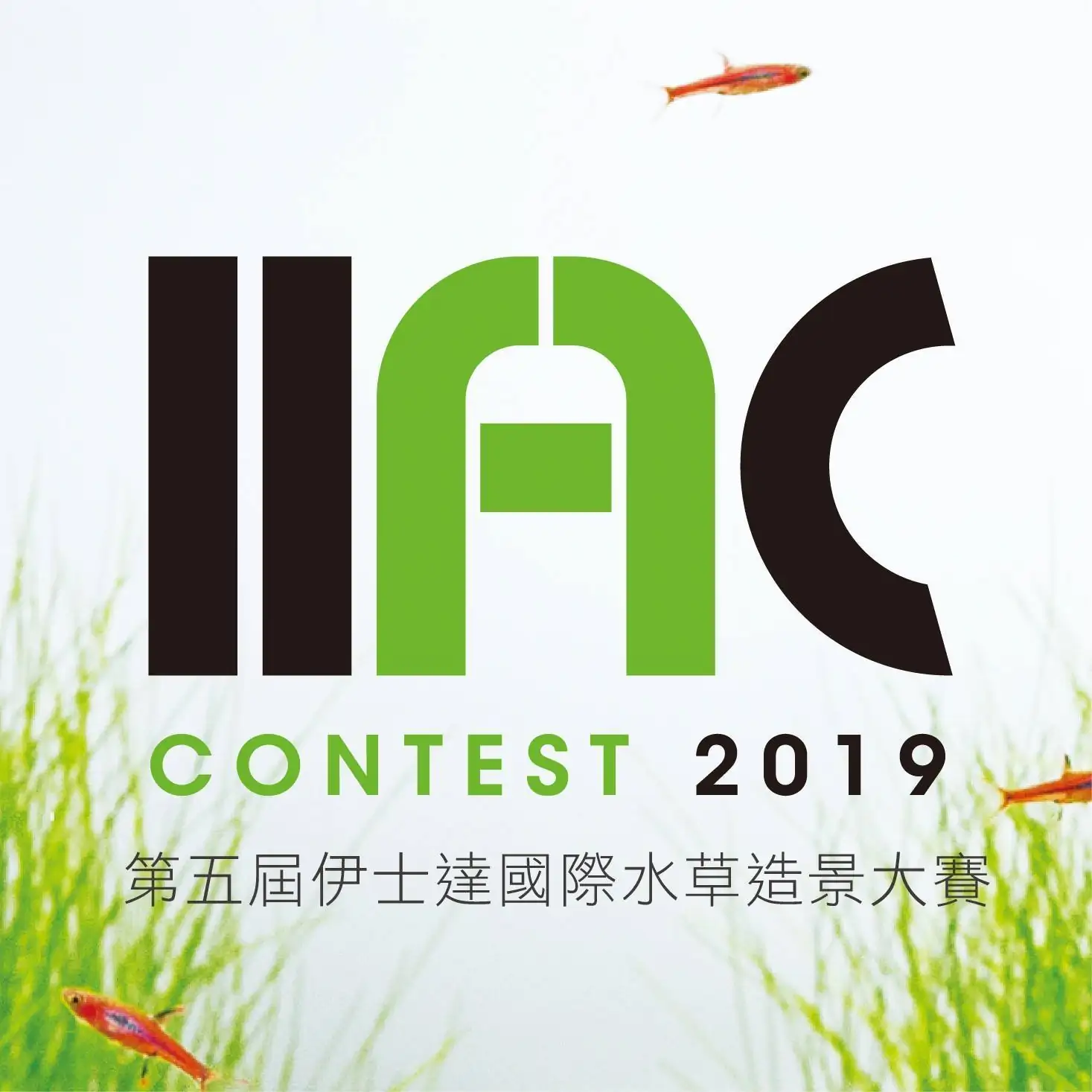 IIAC 2019 World Ranking Announcement