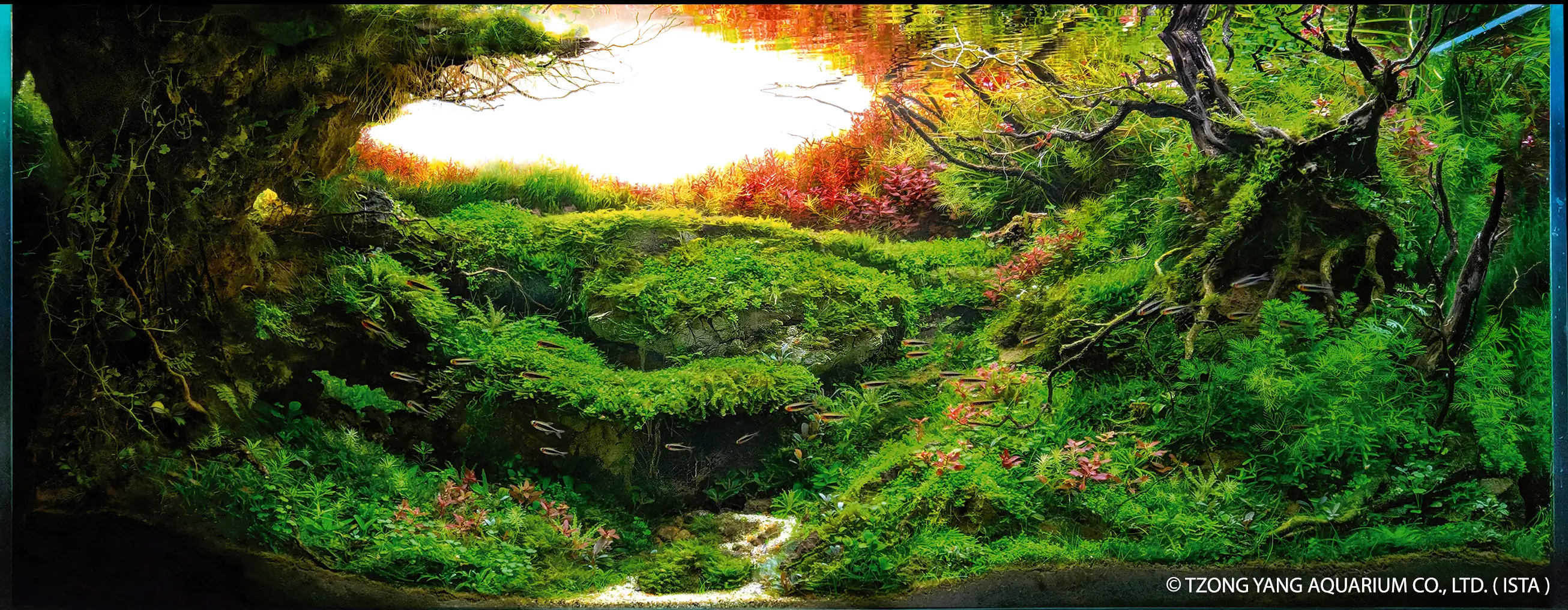 Halfmoon - IIAC 2019 #3 - Fabian Kassakawa / Brazil