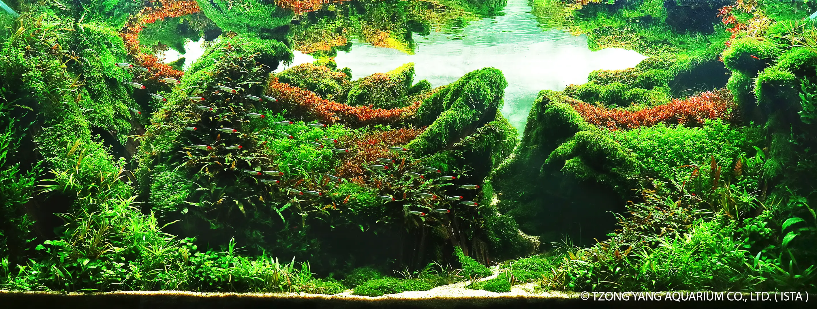 The Sky Garden - IIAC 2019 #14 - YOYO PRAYOGI / Indonesia