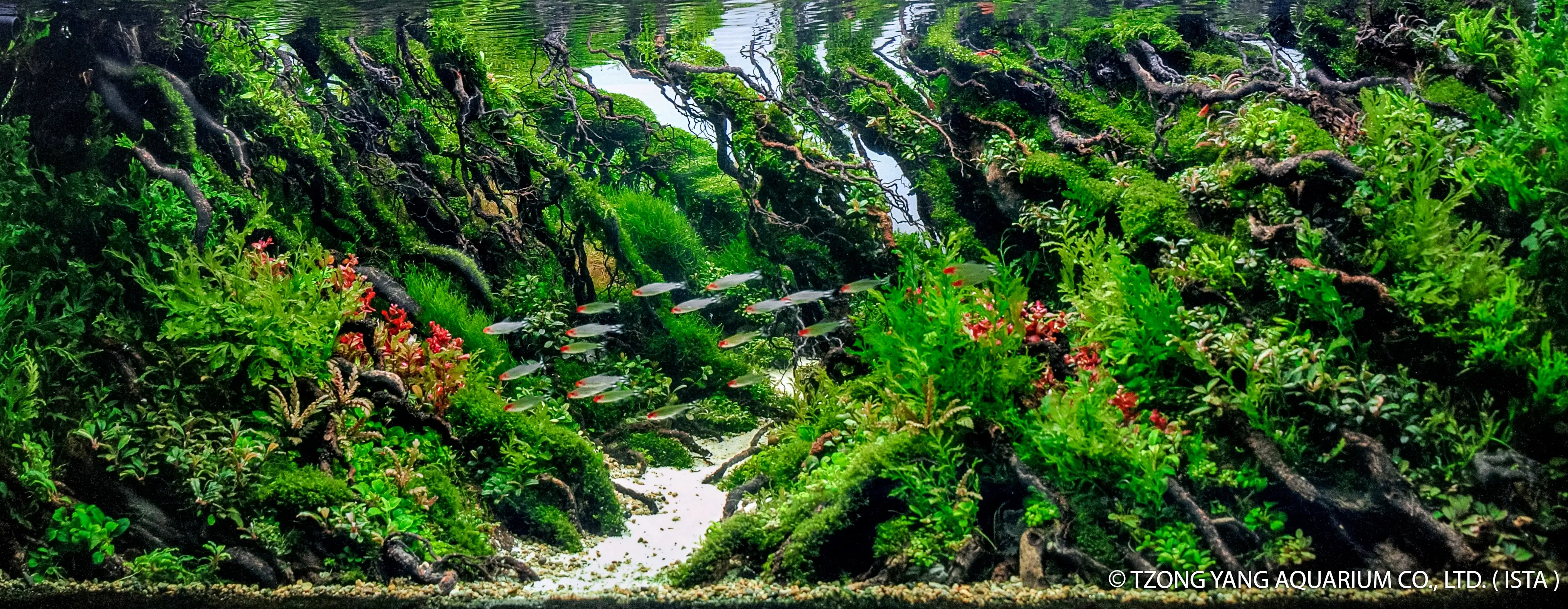 Oyot Pemogan - IIAC 2019 #15 - Amiri Lubis / Indonesia