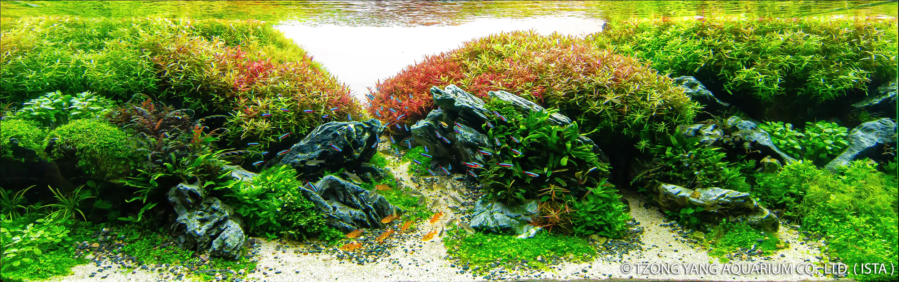 Cores no Horizonte - IIAC 2019 #16 - Fabricio Rufino de Souza / Brazil