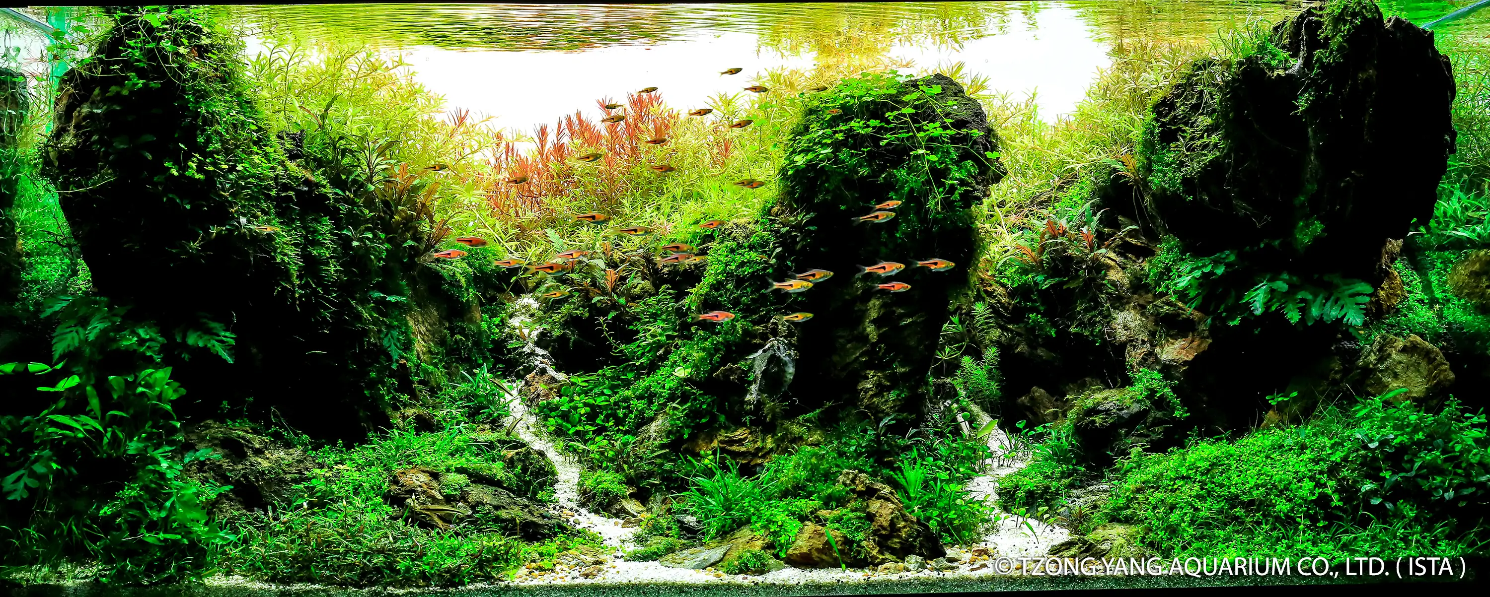 Sunshine Mountain - IIAC 2019 #29 - Jullawong Prapantha / Thailand