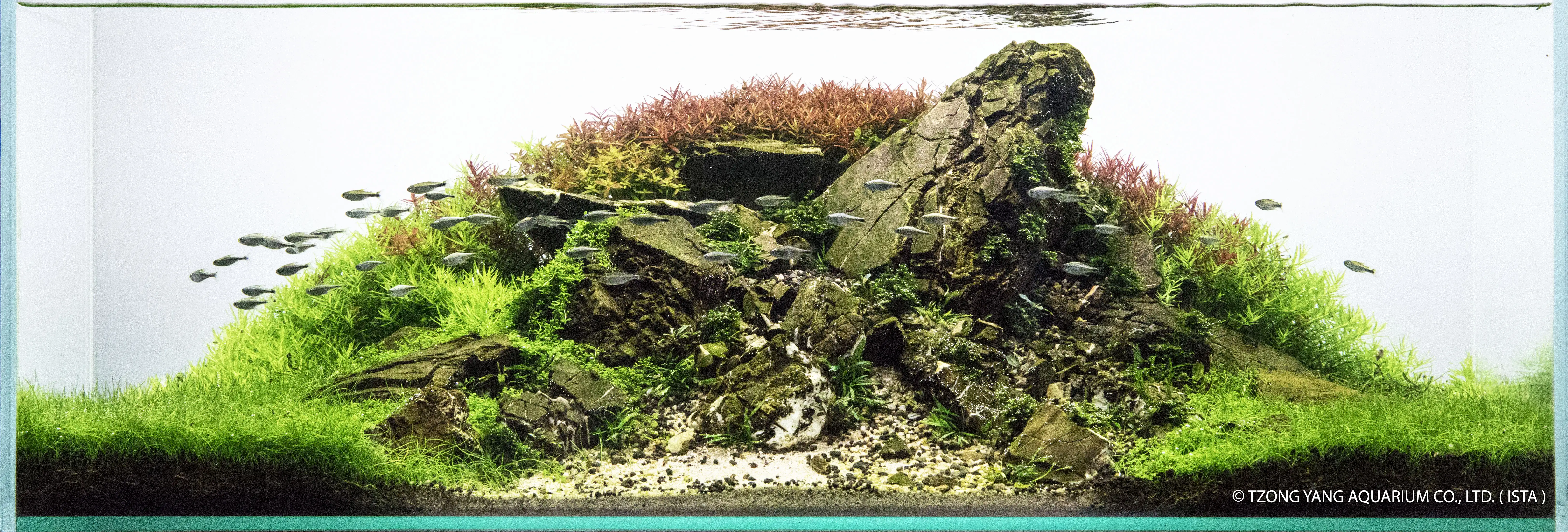 Mt. Hype - IIAC 2019 #30 - Alberto Farinello / Italy