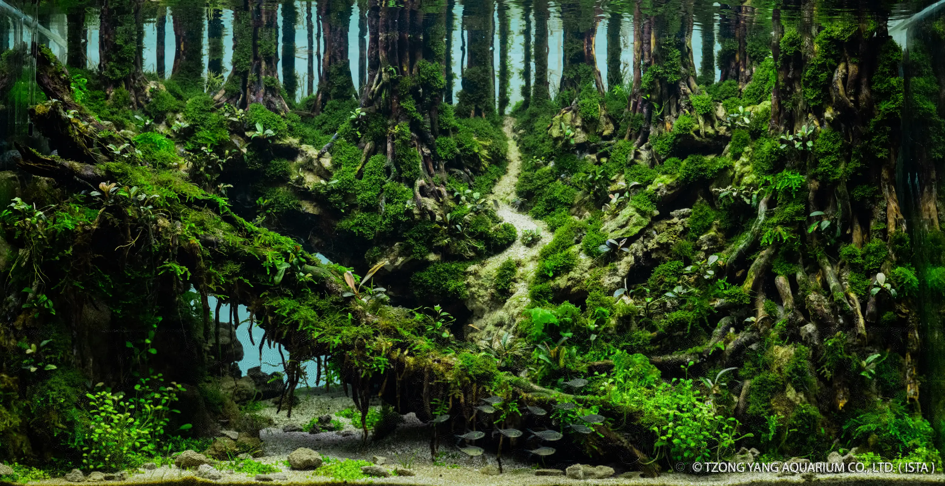 Song of Forest - IIAC 2019 #36 - Lose Wei / China