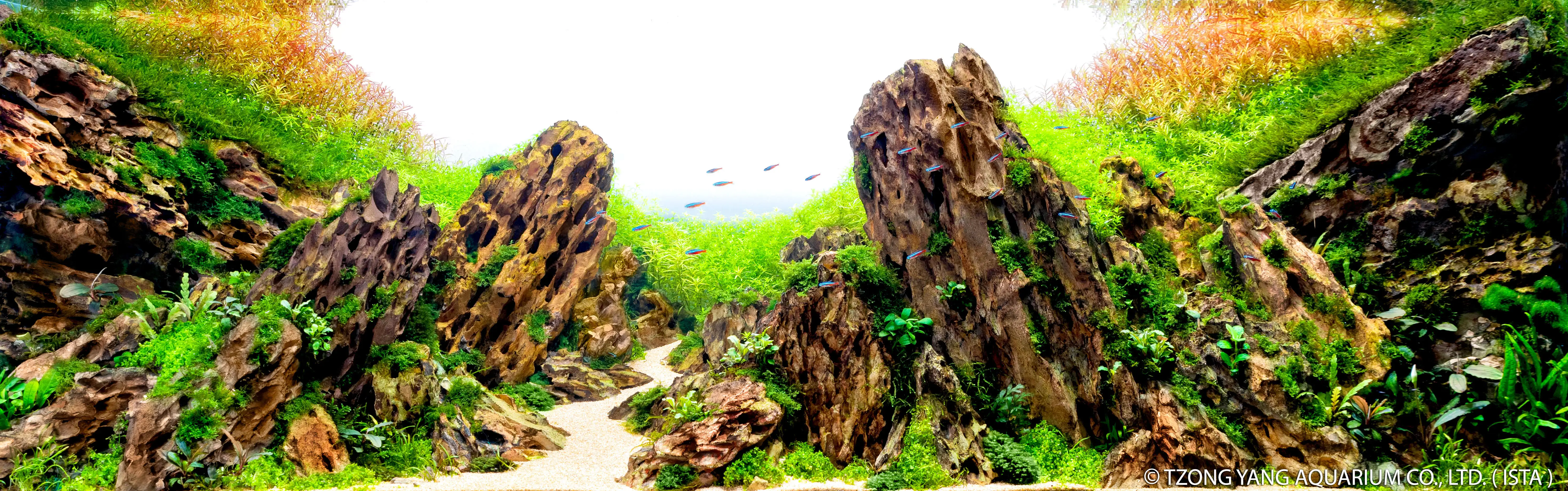 The Other Side - IIAC 2019 #38 - Liang Jin / China