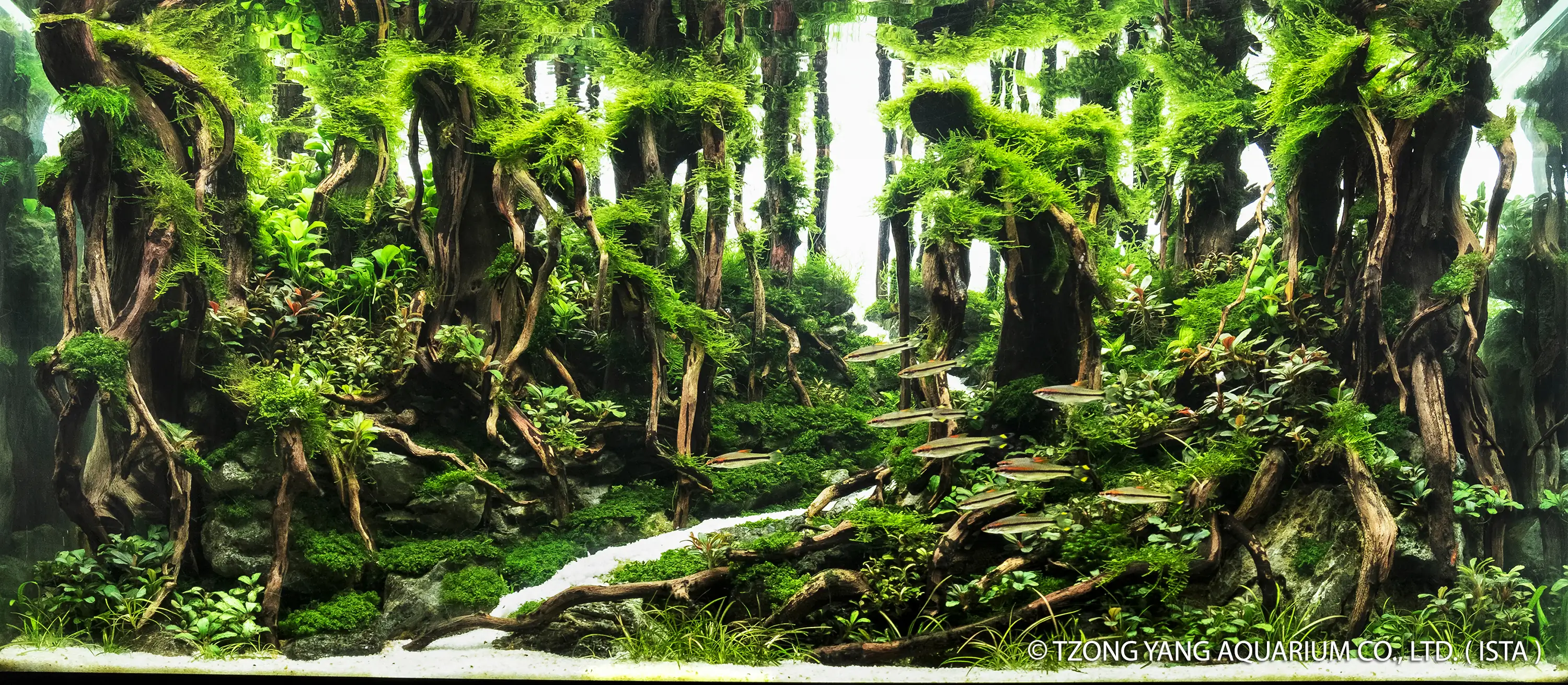 The Kingsroad - IIAC 2019 #41 - Nurul Hikmah Sigit / Indonesia