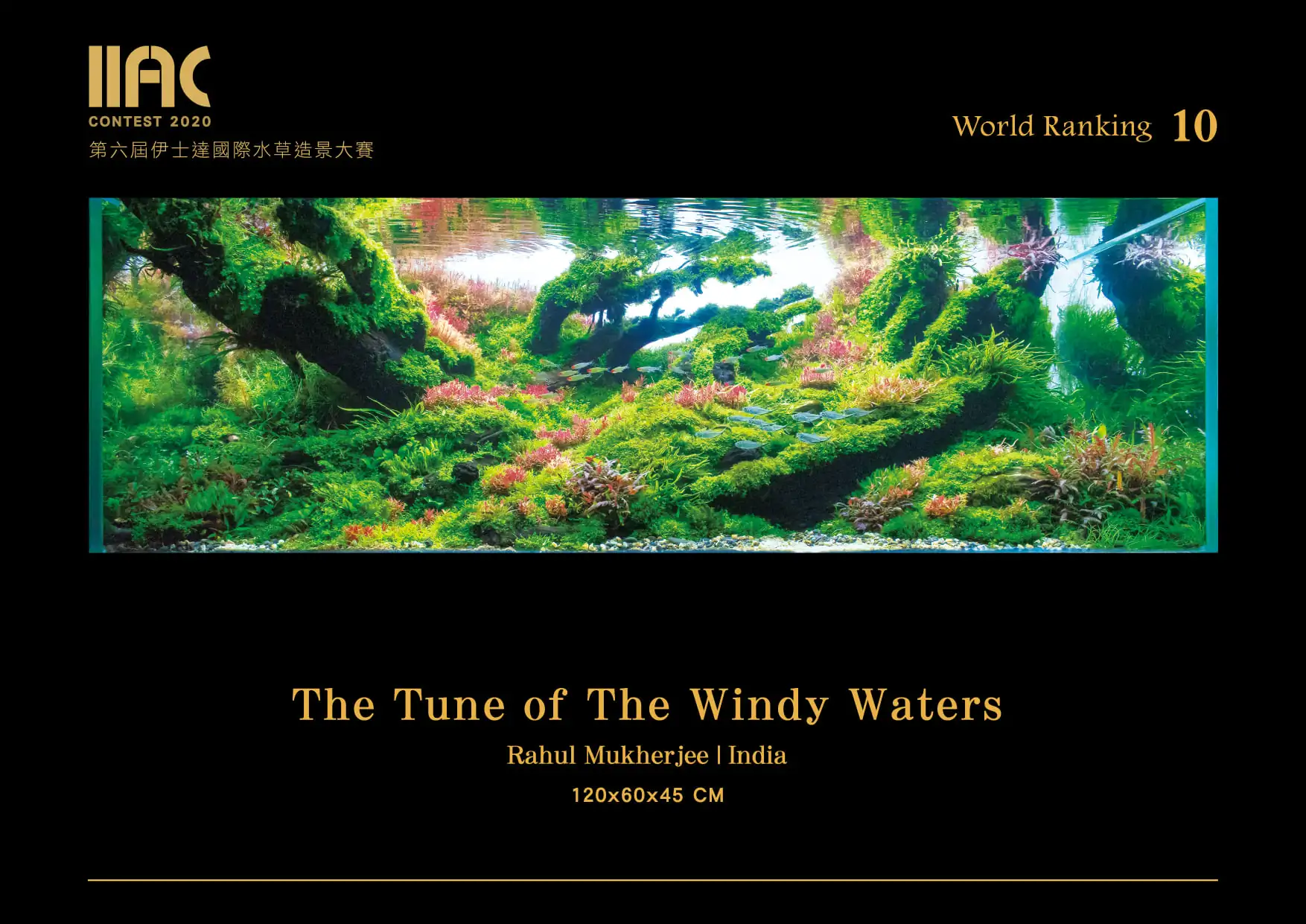 The Tune of The Windy Water - IIAC 2021 #10 - Rahul Mukherjee / India