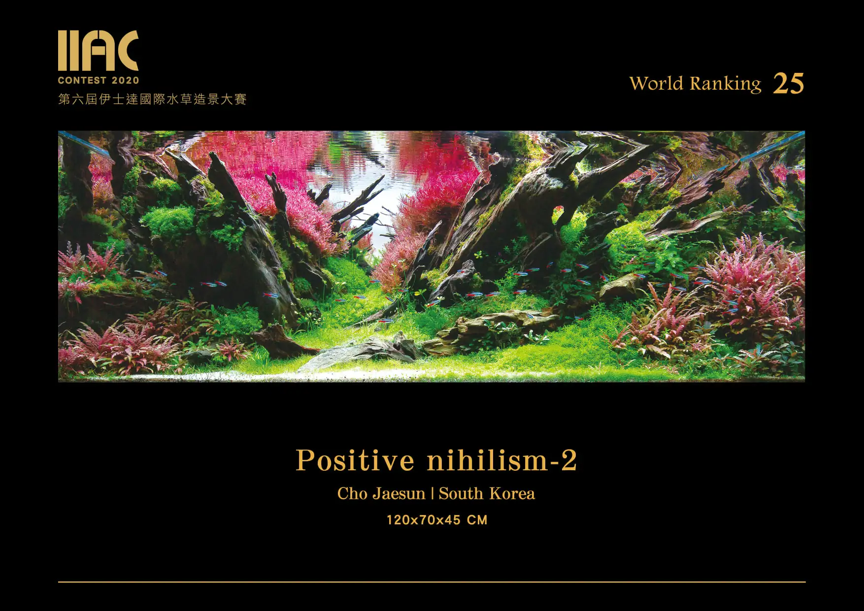 Positive Nihilism 2 - IIAC 2020 #25 Cho Jaesun / South Korea