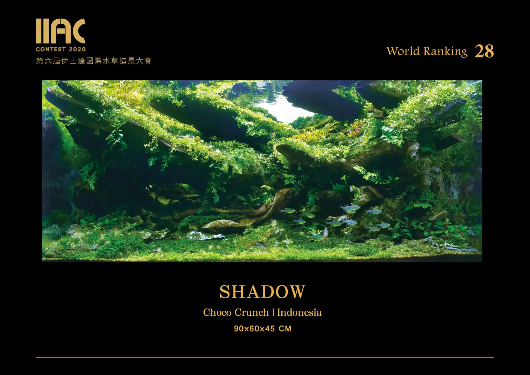 Shadow - IIAC 2020 #28 Choco Crunch / Indonesia
